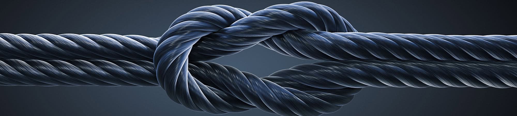 Partner_Header